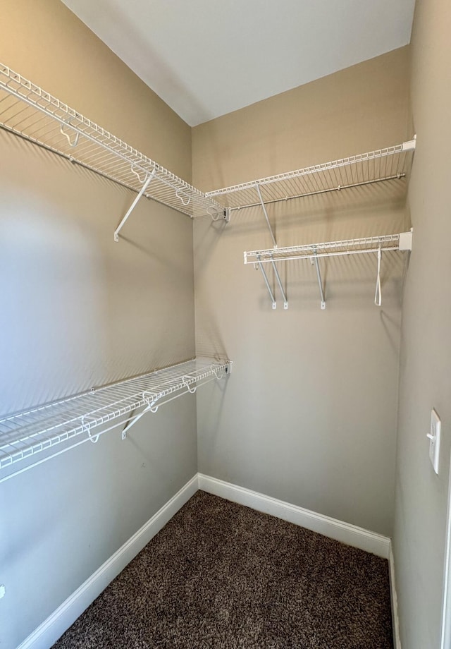 walk in closet featuring carpet