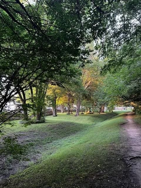 view of community with a lawn