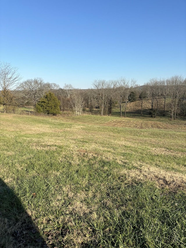 view of yard featuring a rural view