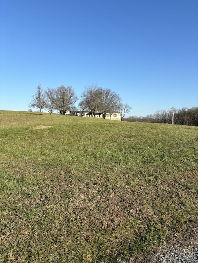 view of yard with a rural view