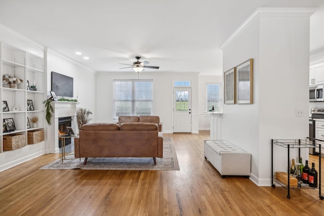 living room featuring crown molding, ceiling fan, and light wood-type flooring