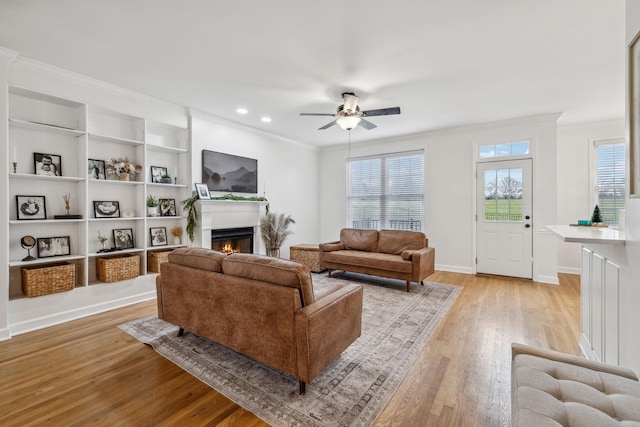 living room with ceiling fan, ornamental molding, light hardwood / wood-style floors, and a healthy amount of sunlight