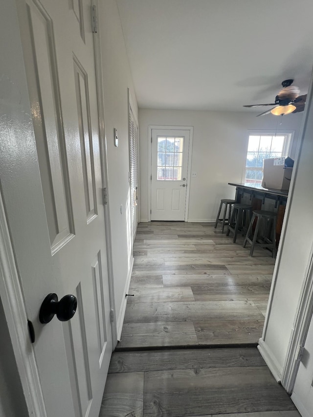 doorway to outside featuring light hardwood / wood-style flooring, a wealth of natural light, and ceiling fan