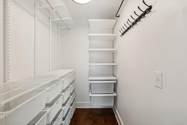 spacious closet with dark hardwood / wood-style floors