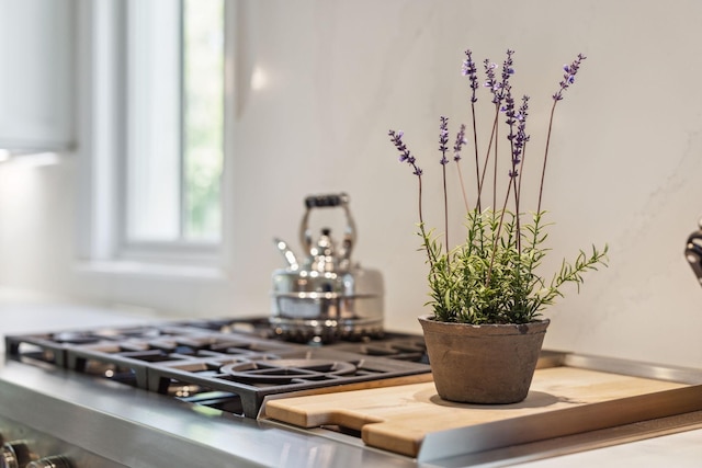 details featuring stainless steel gas stovetop