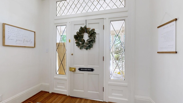 entrance foyer featuring wood-type flooring