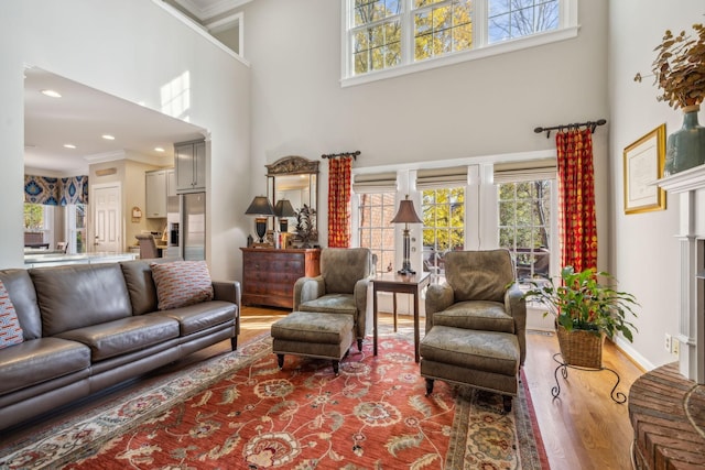 living room featuring hardwood / wood-style flooring, a towering ceiling, and ornamental molding