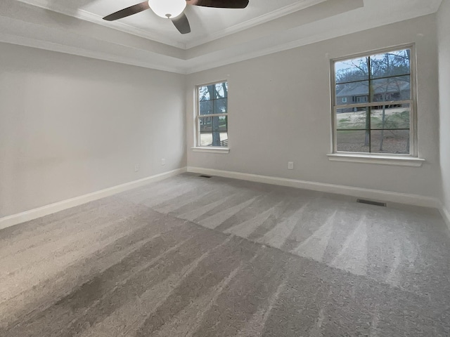 carpeted spare room with a raised ceiling, ceiling fan, and ornamental molding