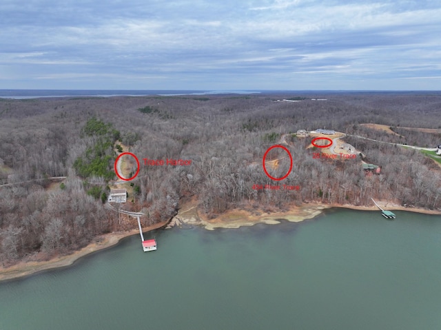 454 River Trace Dr, Dover, TN 37058 - photo 4