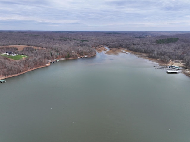 454 River Trace Dr, Dover, TN 37058 - photo 13