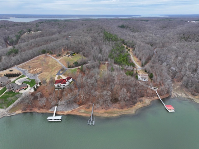 454 River Trace Dr, Dover, TN 37058 - photo 15