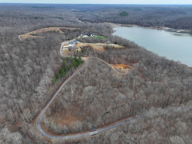 454 River Trace Dr, Dover, TN 37058 - photo 5