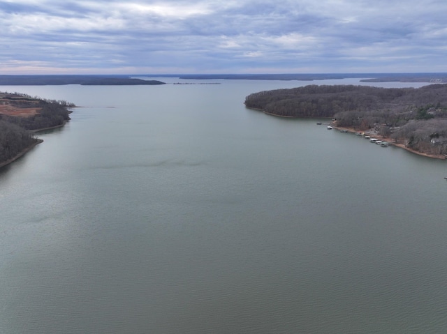 454 River Trace Dr, Dover, TN 37058 - photo 12