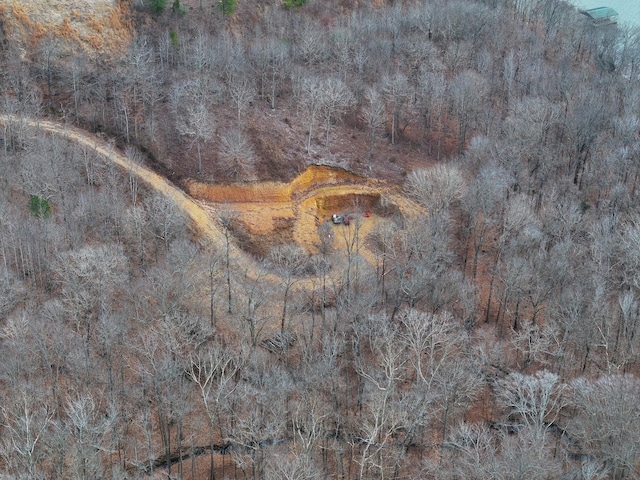 454 River Trace Dr, Dover, TN 37058 - photo 2