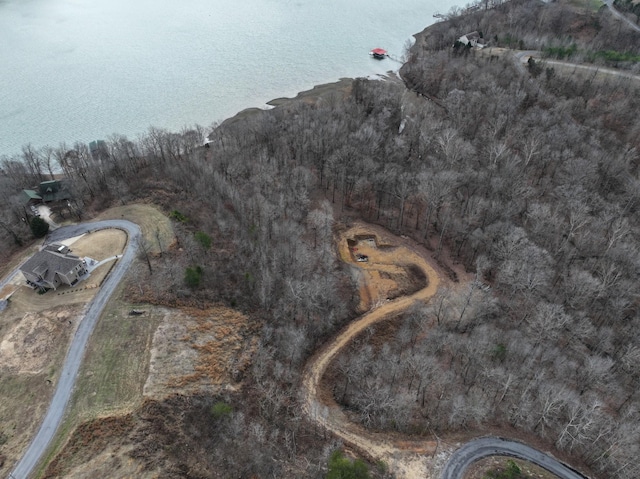 454 River Trace Dr, Dover, TN 37058 - photo 3