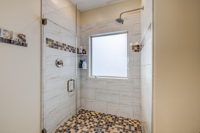 bathroom with plenty of natural light and a shower with door