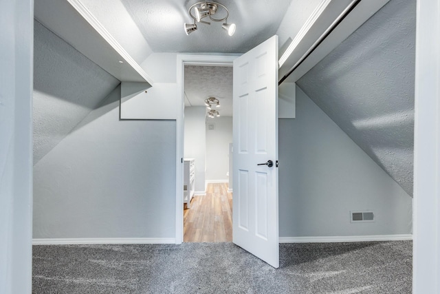 additional living space with lofted ceiling, a textured ceiling, and carpet