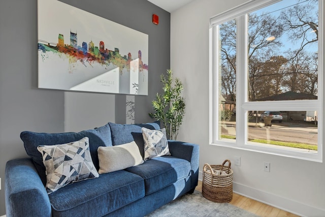 living room featuring hardwood / wood-style flooring