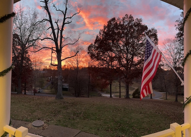 view of yard at dusk