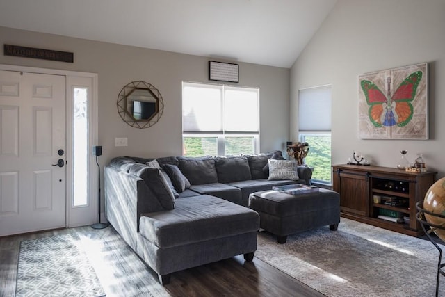 living room featuring a wealth of natural light, lofted ceiling, and wood-type flooring