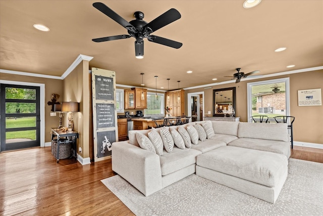 living room with ceiling fan, light hardwood / wood-style floors, and crown molding