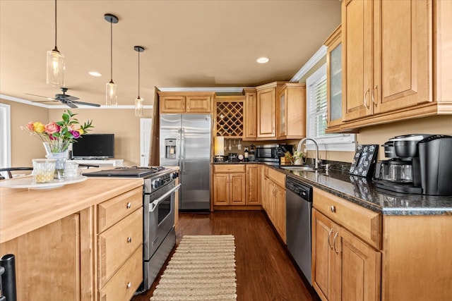 kitchen with ceiling fan, sink, dark hardwood / wood-style flooring, crown molding, and appliances with stainless steel finishes