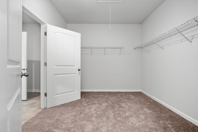 walk in closet featuring light colored carpet