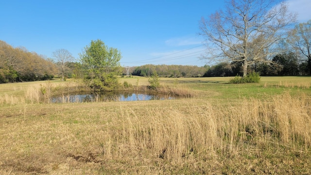 view of nature with a water view