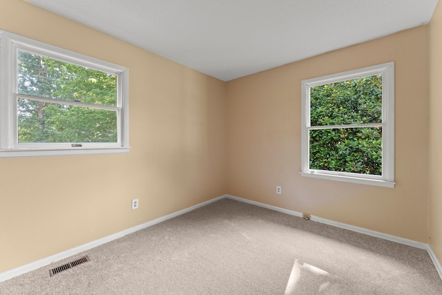 carpeted spare room with a wealth of natural light