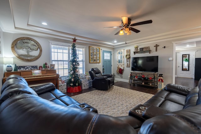 living room with dark hardwood / wood-style floors, ceiling fan, and a tray ceiling