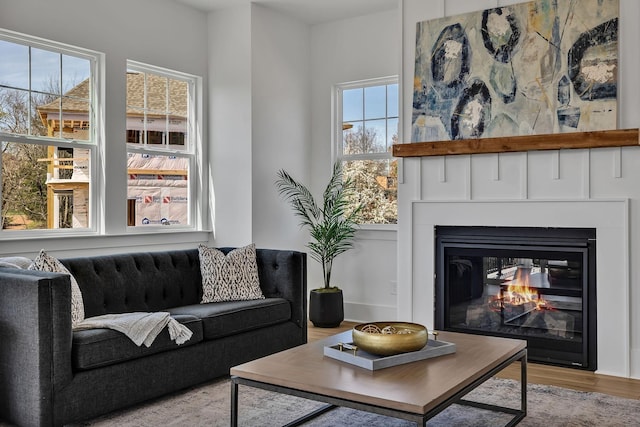 living room featuring light hardwood / wood-style flooring and a healthy amount of sunlight