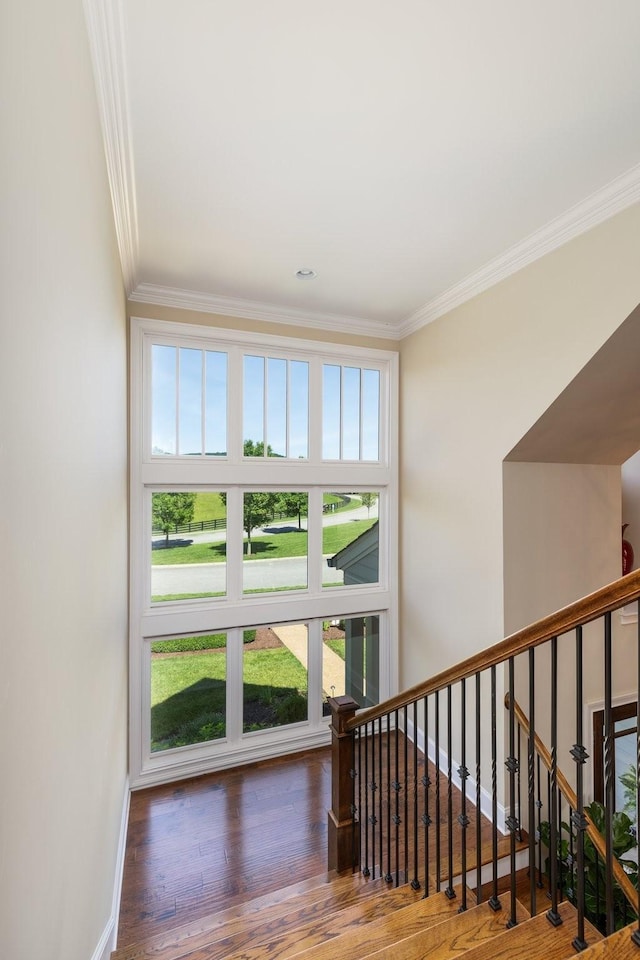 interior space featuring dark wood-type flooring, a healthy amount of sunlight, and ornamental molding