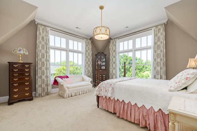 bedroom featuring carpet flooring and multiple windows