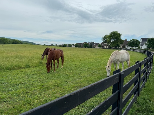 view of yard featuring a rural view