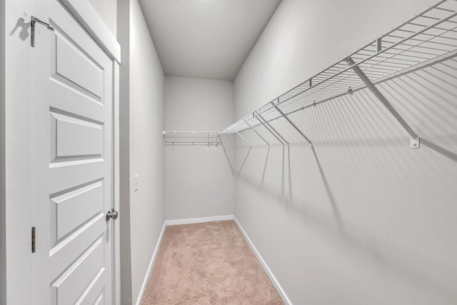 spacious closet with light colored carpet