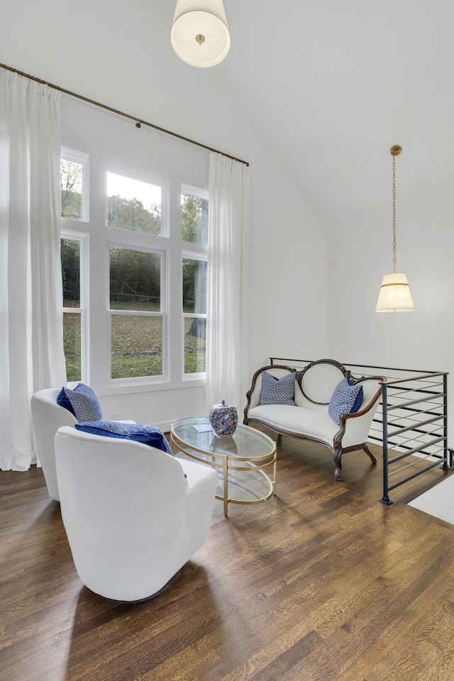 sitting room featuring vaulted ceiling, plenty of natural light, and dark wood-type flooring