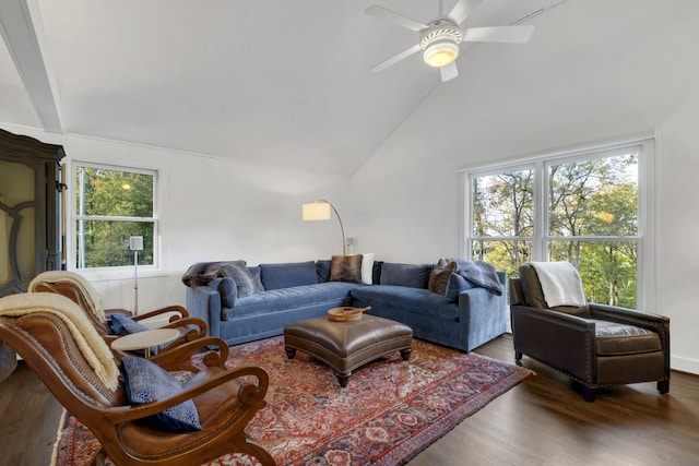 living room featuring wood-type flooring, high vaulted ceiling, a wealth of natural light, and ceiling fan