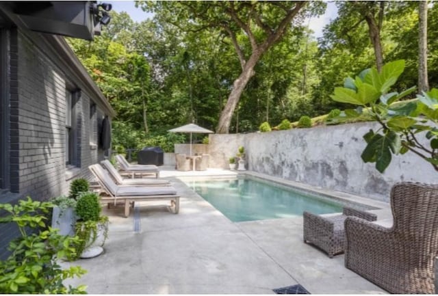 view of swimming pool featuring a patio area