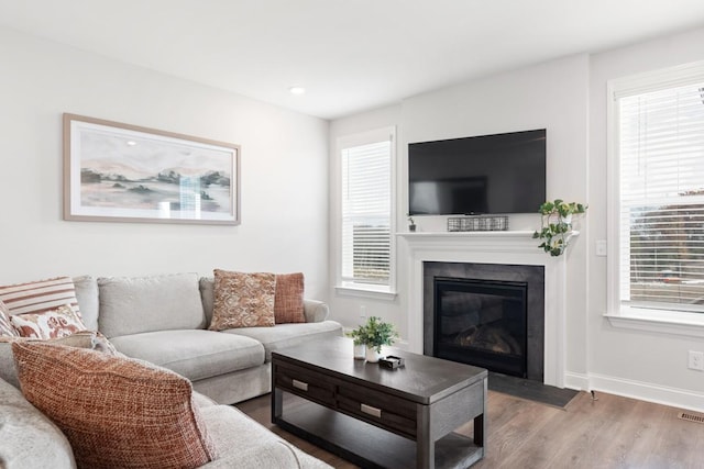 living room featuring a wealth of natural light and hardwood / wood-style flooring