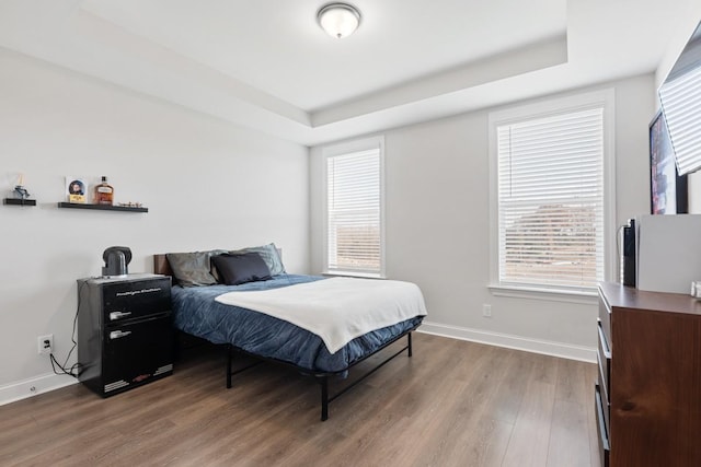 bedroom with a tray ceiling and wood-type flooring