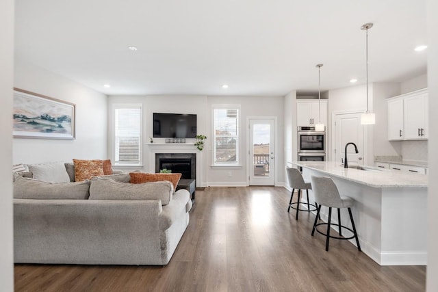 living room featuring hardwood / wood-style floors and sink