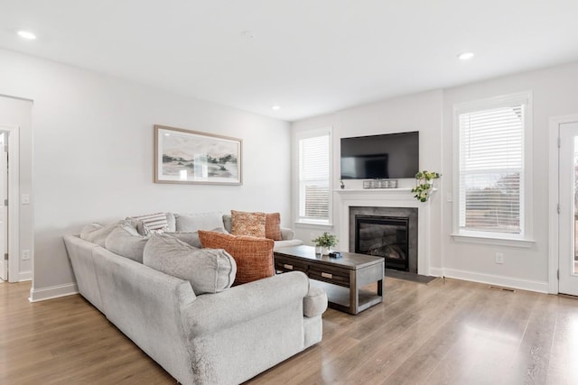 living room featuring a healthy amount of sunlight and light hardwood / wood-style floors