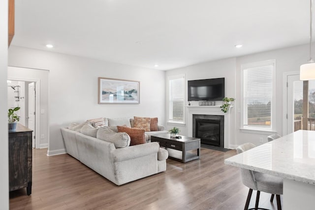 living room featuring hardwood / wood-style flooring