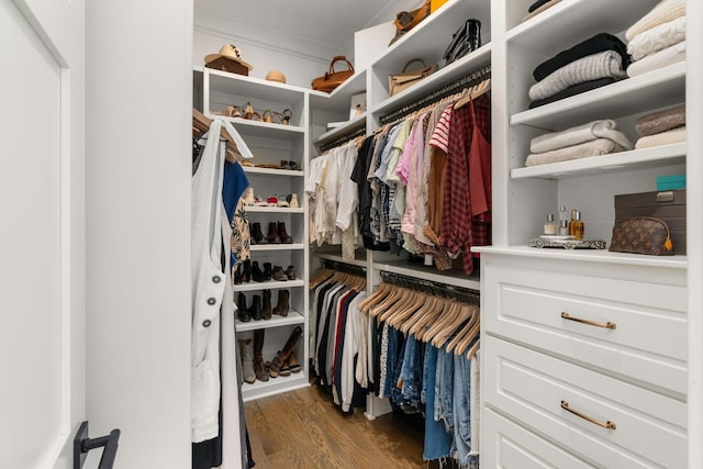 walk in closet featuring dark wood-type flooring