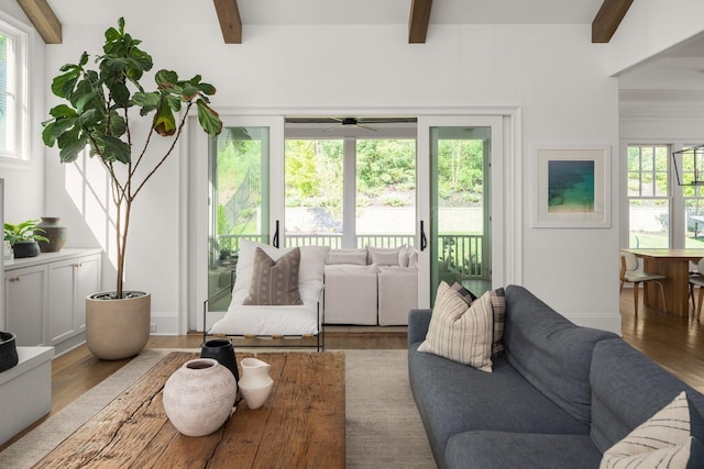 living room with beam ceiling, hardwood / wood-style flooring, and ceiling fan