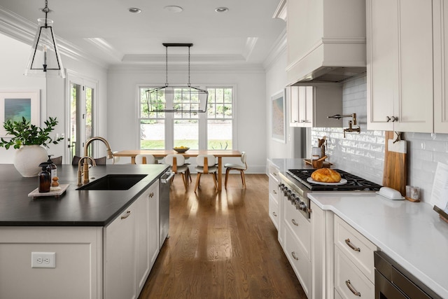 kitchen with sink, hanging light fixtures, tasteful backsplash, a raised ceiling, and custom range hood