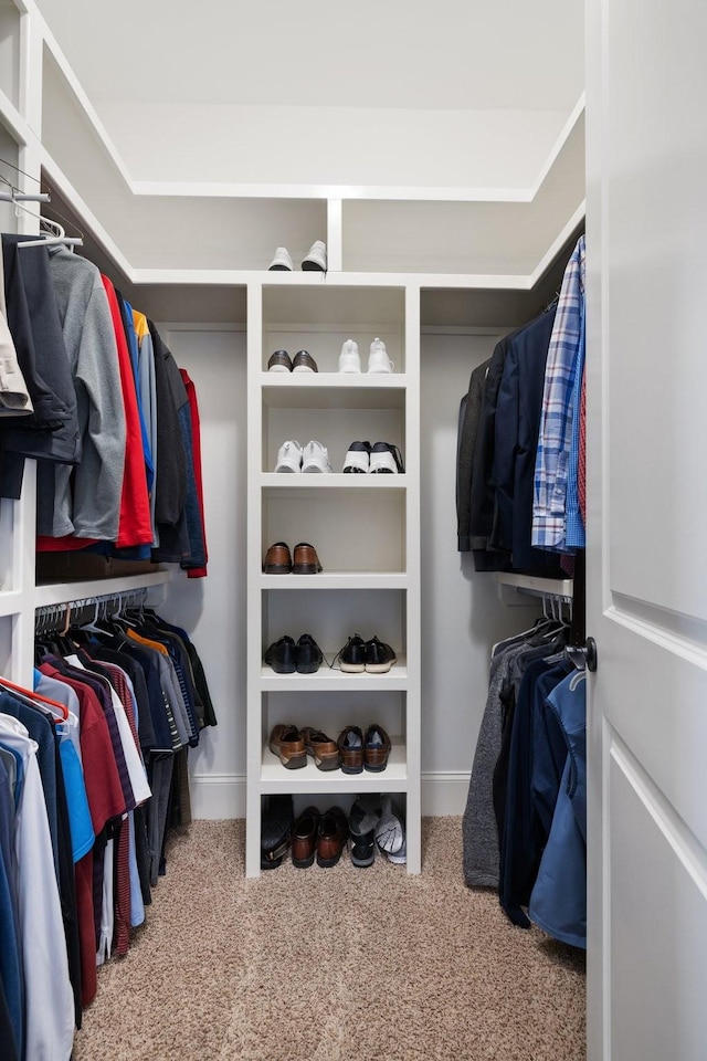 walk in closet with carpet flooring