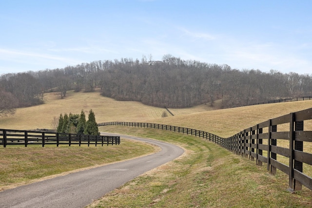 view of road with a rural view