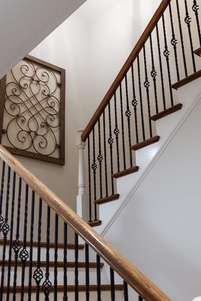 staircase featuring carpet flooring