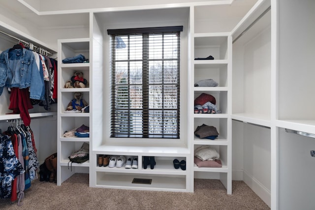 spacious closet featuring carpet floors